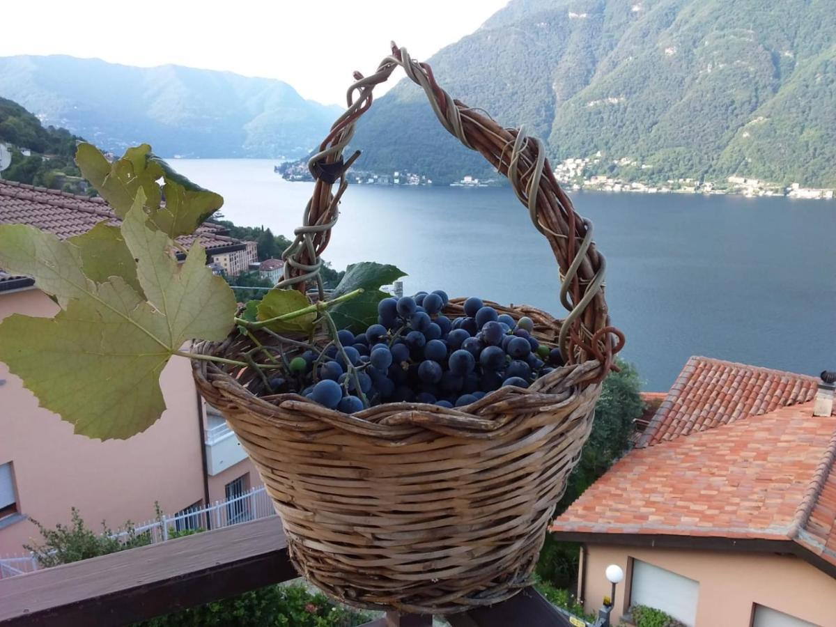Romantic Home - Lake Como 内索 外观 照片
