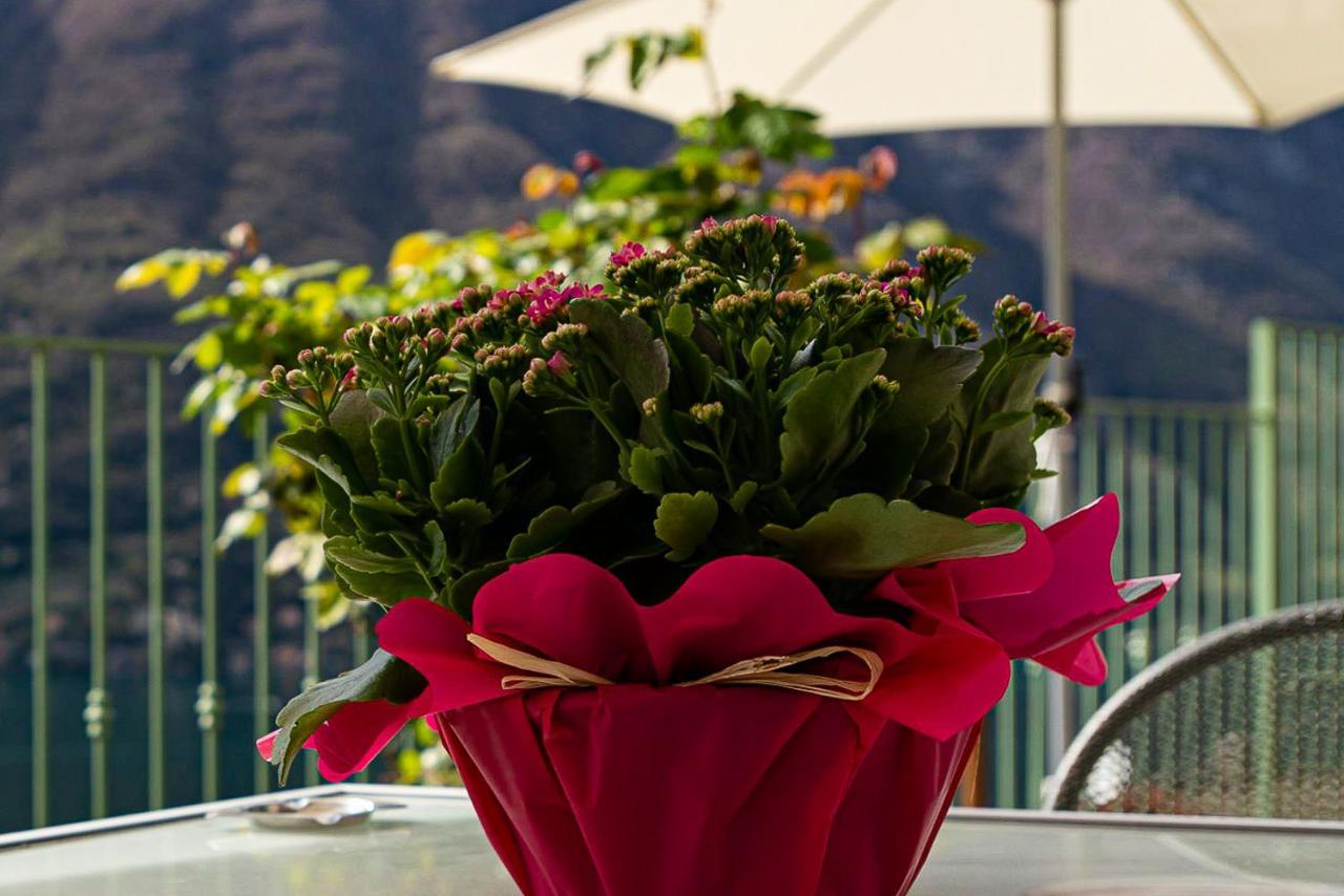 Romantic Home - Lake Como 内索 外观 照片